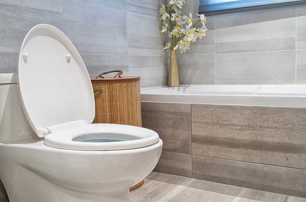 Toilet Installation & Replacement in Hanover, MD. Clarksville Plumbing